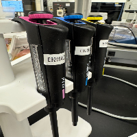 Thermo Finnpipette F2 Single Channel Pipettes - Quantity 3 image 0